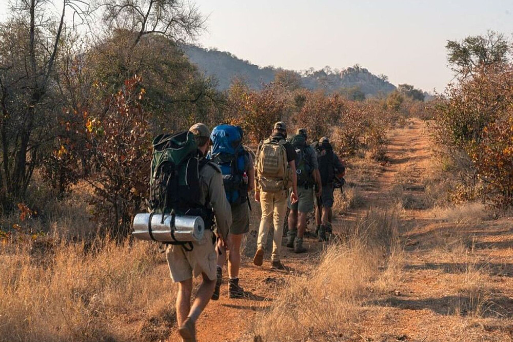 7-daagse bush-retraite: wilde dieren, baobabs en rust in Zuid-Afrika