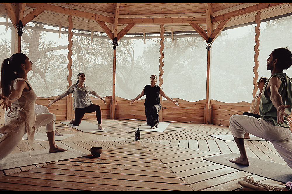 30-tägige, 200-stündige zertifizierte Ausbildung zum Integralen Yoga- und Meditationslehrer (Lehrerausbildungszentrum), Spanien