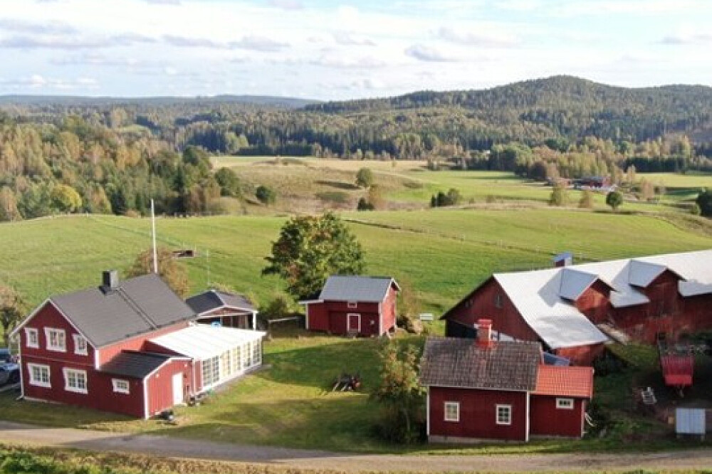 5-tägiges Willkommens-Retreat „Down to Earth Therapy“ in Schweden