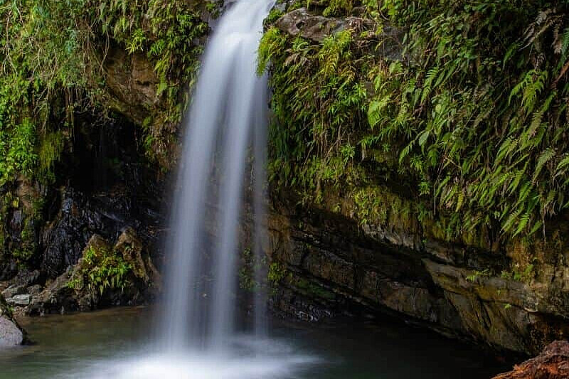 5 Tage Transzendenz, Atemübungen, Yoga &amp; Abenteuer in Puerto Rico