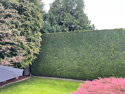 Hedge PRO Trimming