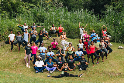 MonkFit Wellness Systems LLC