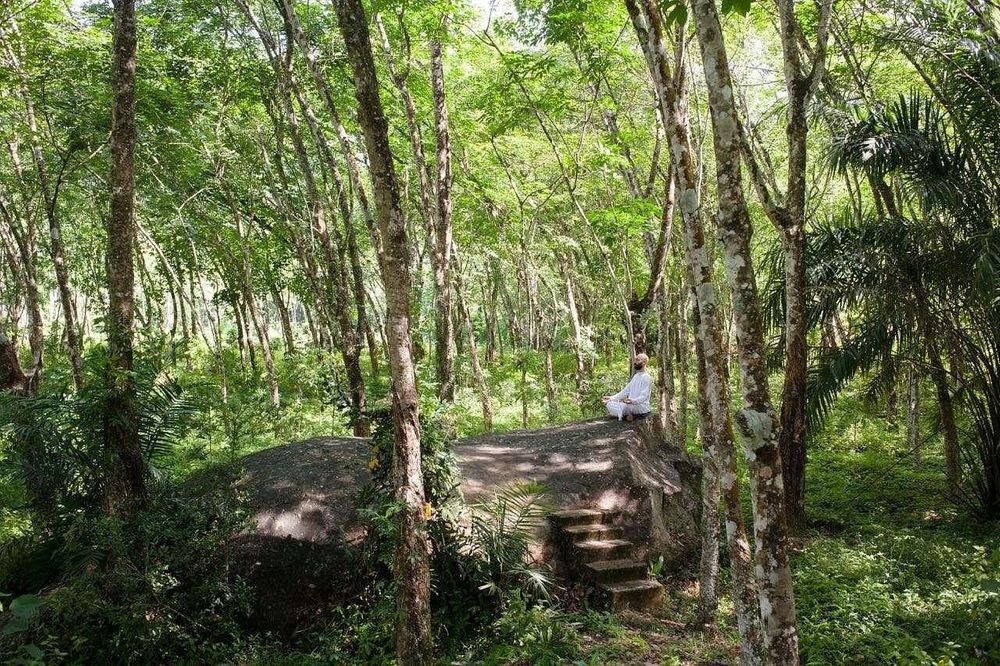 5-tägiges Koch-, Yoga- und Meditationsretreat in Sri Lanka