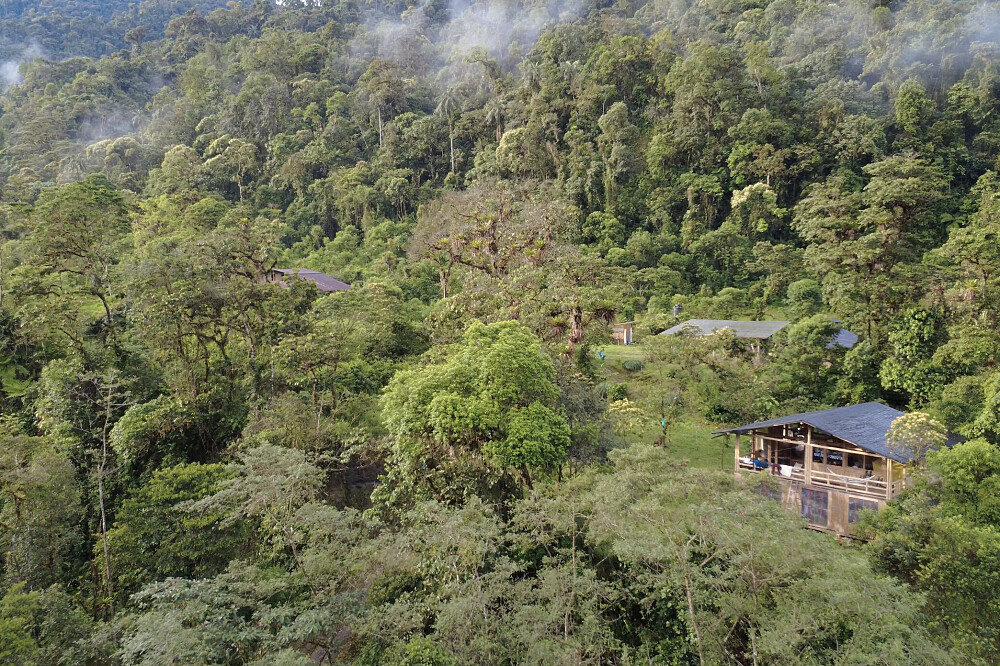 8-tägiges schamanisches Retreat für Frauen im Regenwald, Ecuador