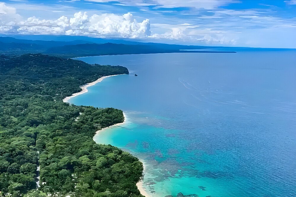 7 Day (Flexible) 1:1 Mushroom Medicine Mentorship, Costa Rica