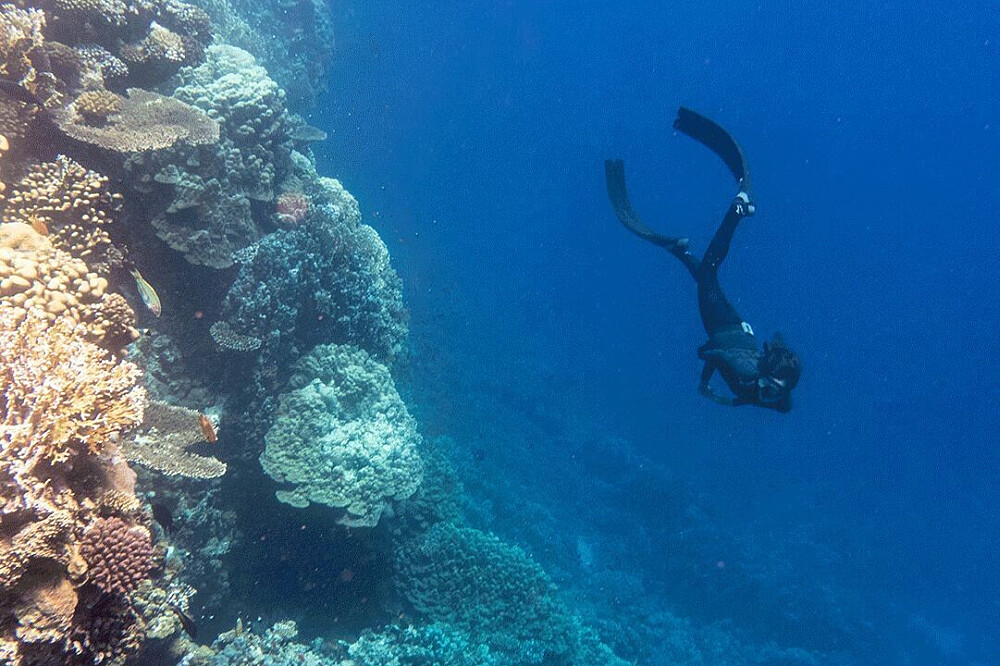 8-tägige Yachtreise „Tanzen mit Delfinen“ in Ägypten