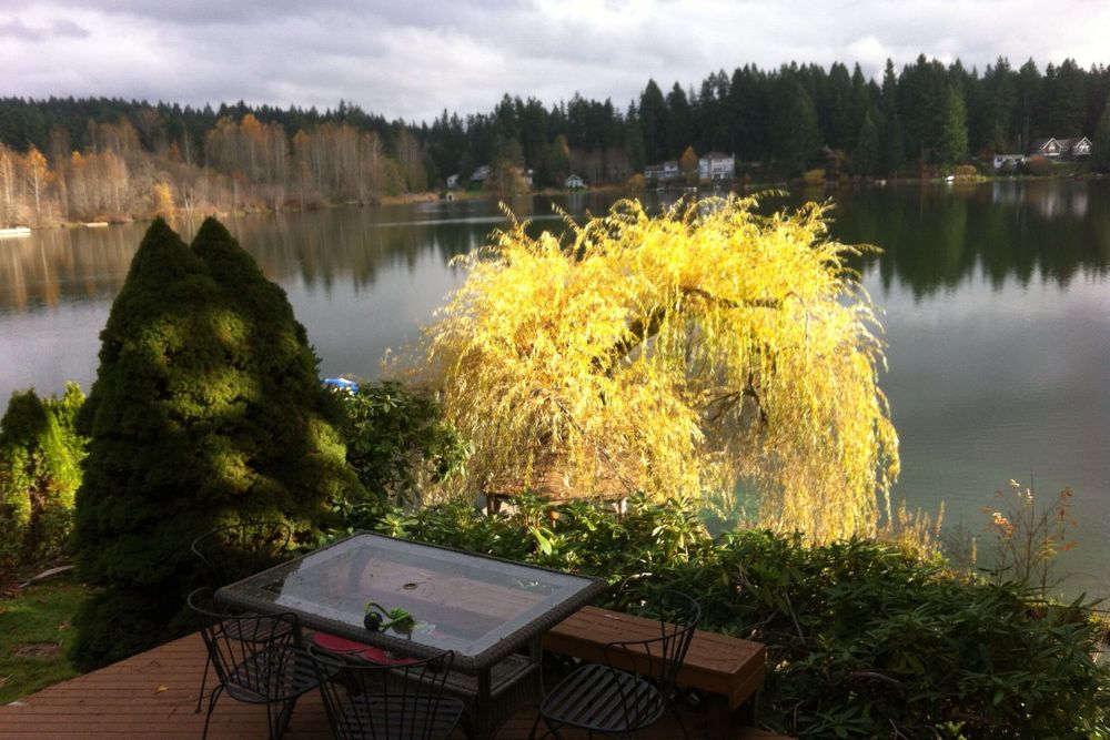 5-dniowy pobyt duchowy w Cottage Lake B&amp;B w Woodinville w USA