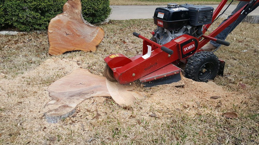 Rooted In Texas Tree Care