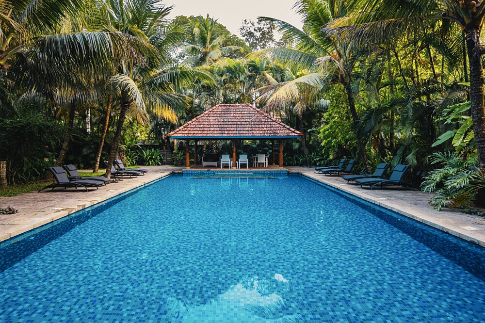 6-tägiges Lese-Retreat – Das Buch in Kerala, Indien beenden