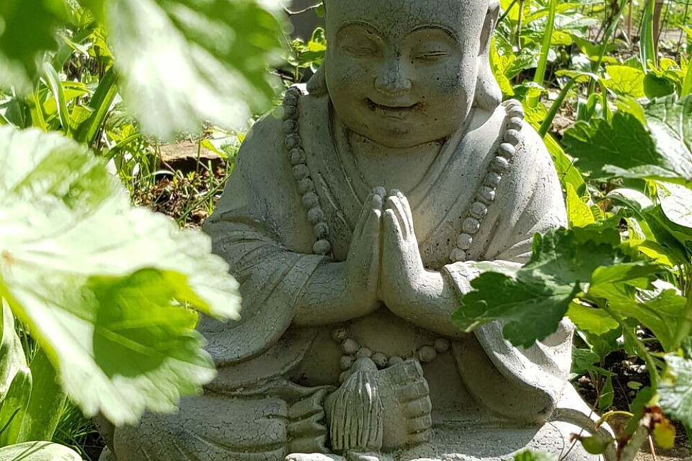9-daagse Satsang-retraite: Herinner je wie je bent, Nederland