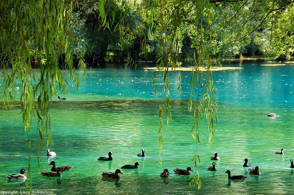 4 Tage Schwimmen und Yoga im See, am Rande des Nationalparks, Italien