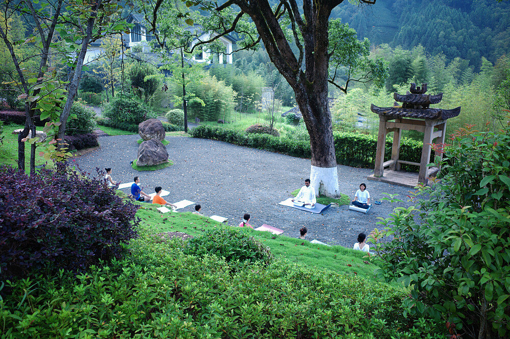 6 dagars levande te- och wellnessresa i Wuyi nationalpark