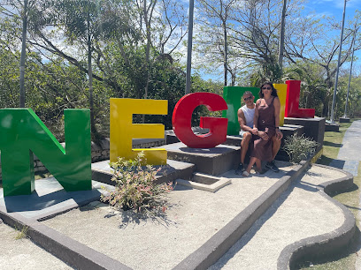 Unique Oasis Tours