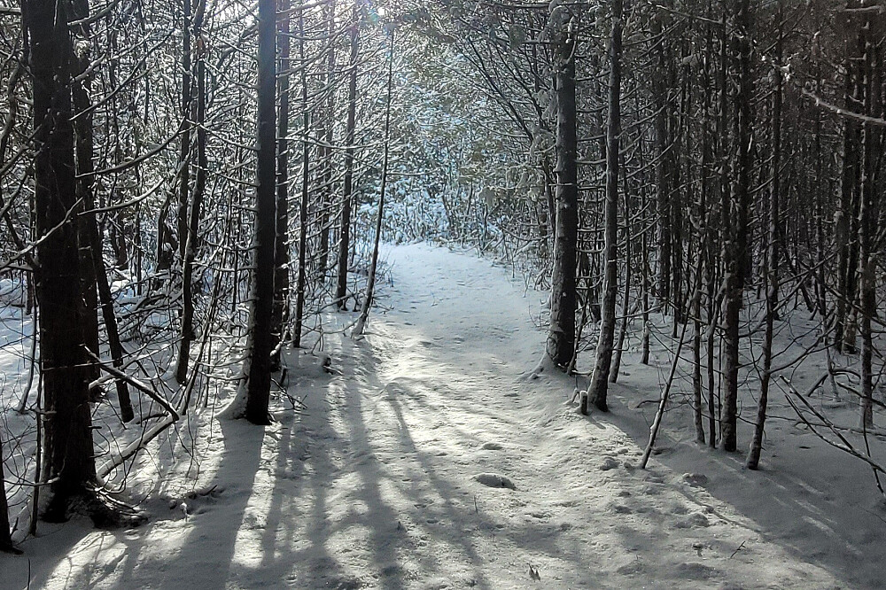 3-tägiger Achtsamkeits-Intensivkurs „Winter Stillness Rebellion“, Kanada