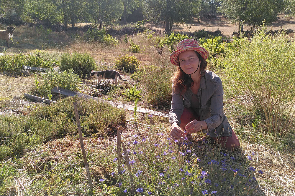 5-Tage-Projekt: Der Nervensystemgarten in Colmeal, Portugal