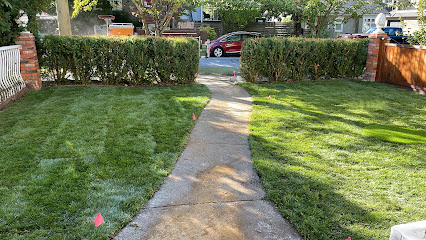 The Bees Knees Landscaping