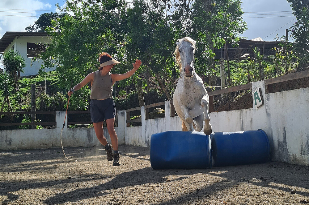 7 Day Horse Connection, Liberty and Yoga in Costa Rica