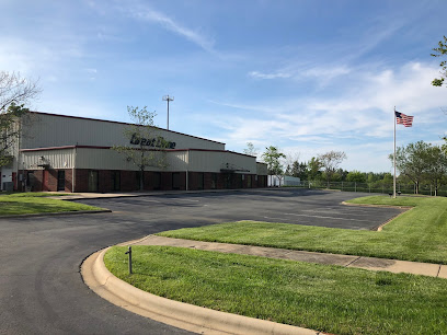 Great Dane Charlotte