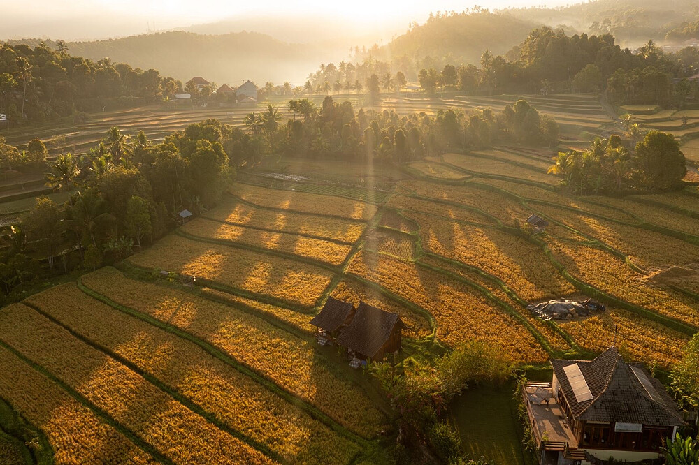 4 Day Organic Living Reset Retreat in North Bali