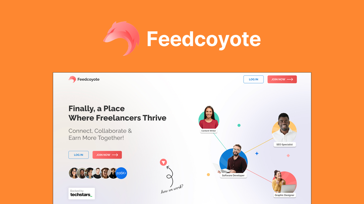 Feedcoyote Lifetime Deal