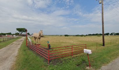Ricks Equine