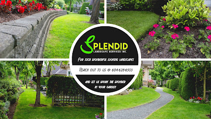Splendid Landscaping Services