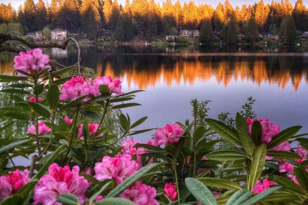 3-dniowy pobyt duchowy w Cottage Lake B&amp;B w Woodinville, USA