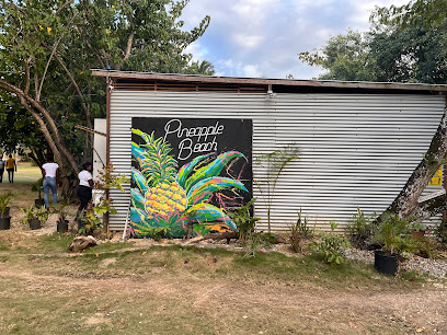 Pineapple Beach