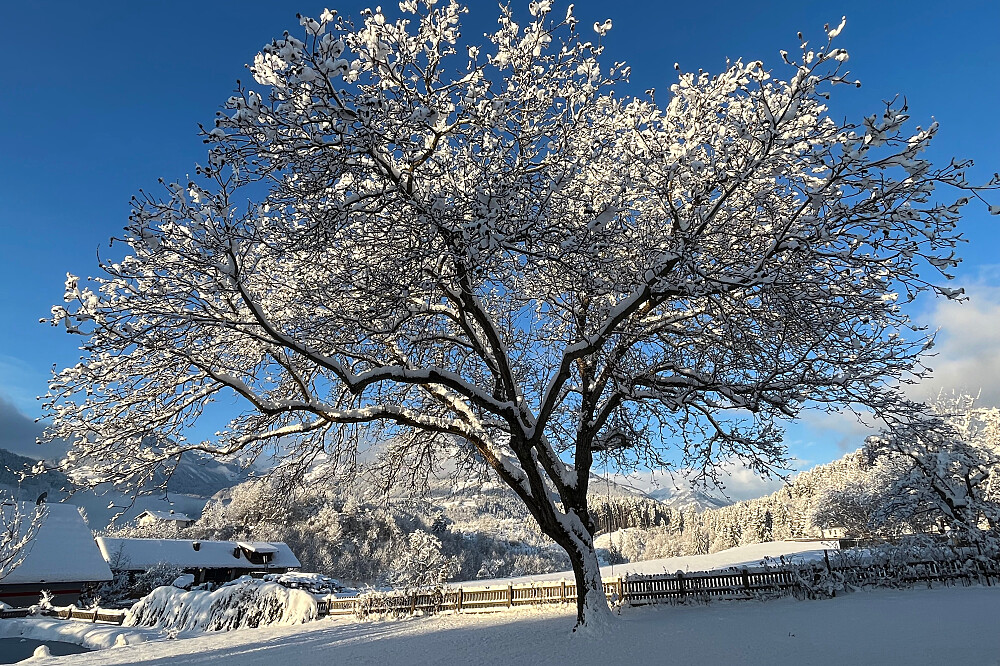 7-tägiges privates Gesundheits- und Yoga-Retreat für Frauen in Kärnten, Österreich