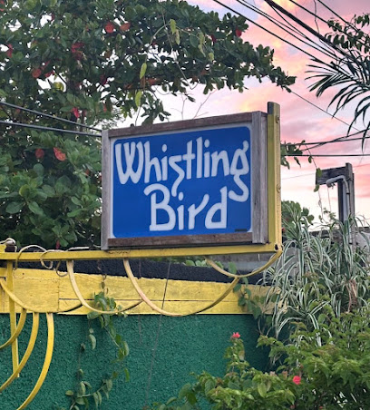 Whistling Bird Negril