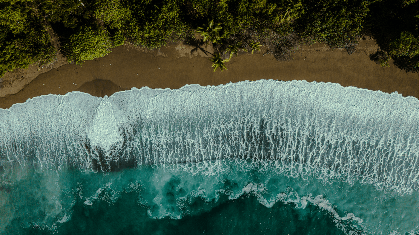 Del Mar Surf Camp Nosara