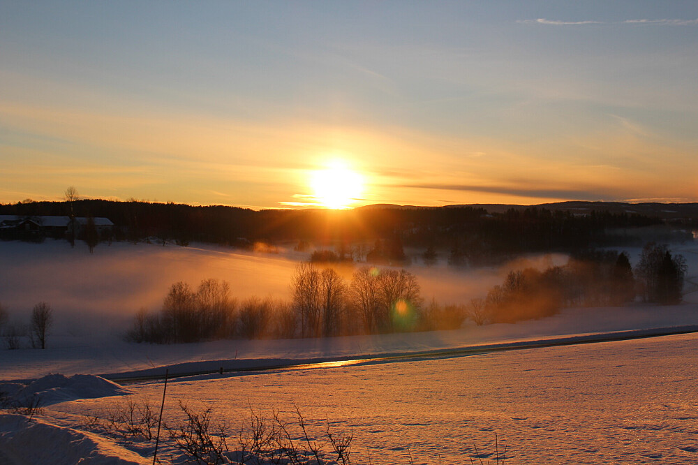 5 Tage Erholung, Reflexion und Regeneration: Ein Frühlings-Retreat in Schweden