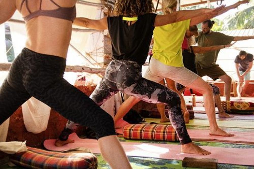 11 Day 100 HR Alignment & Yoga Therapy TTC in Dharamshala, India