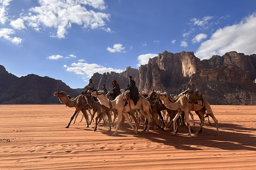 8-tägiges Wüstenabenteuer &amp; Sightseeing in Jordanien