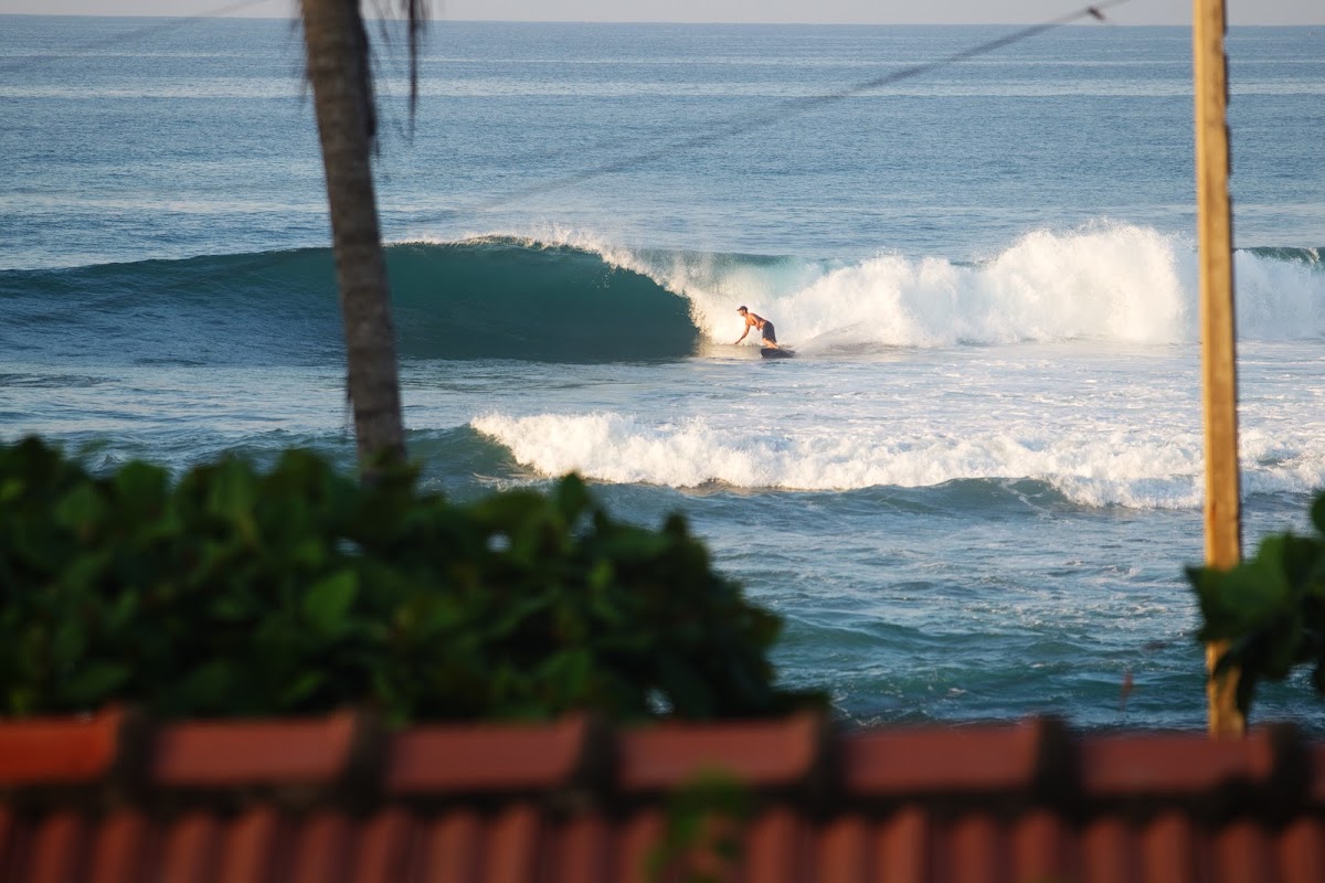 Ebb & Flow Jungalows