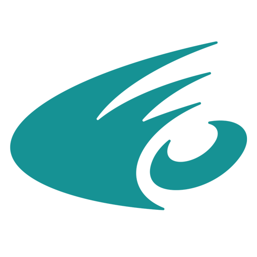 Las Olas Surf Safaris For Women