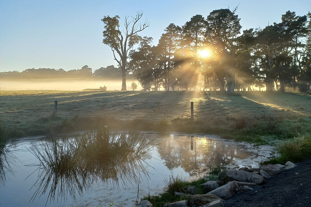 3-tägiges Entspannungs- und Angstbewältigungs-Retreat mit Pferden in New South Wales, Australien