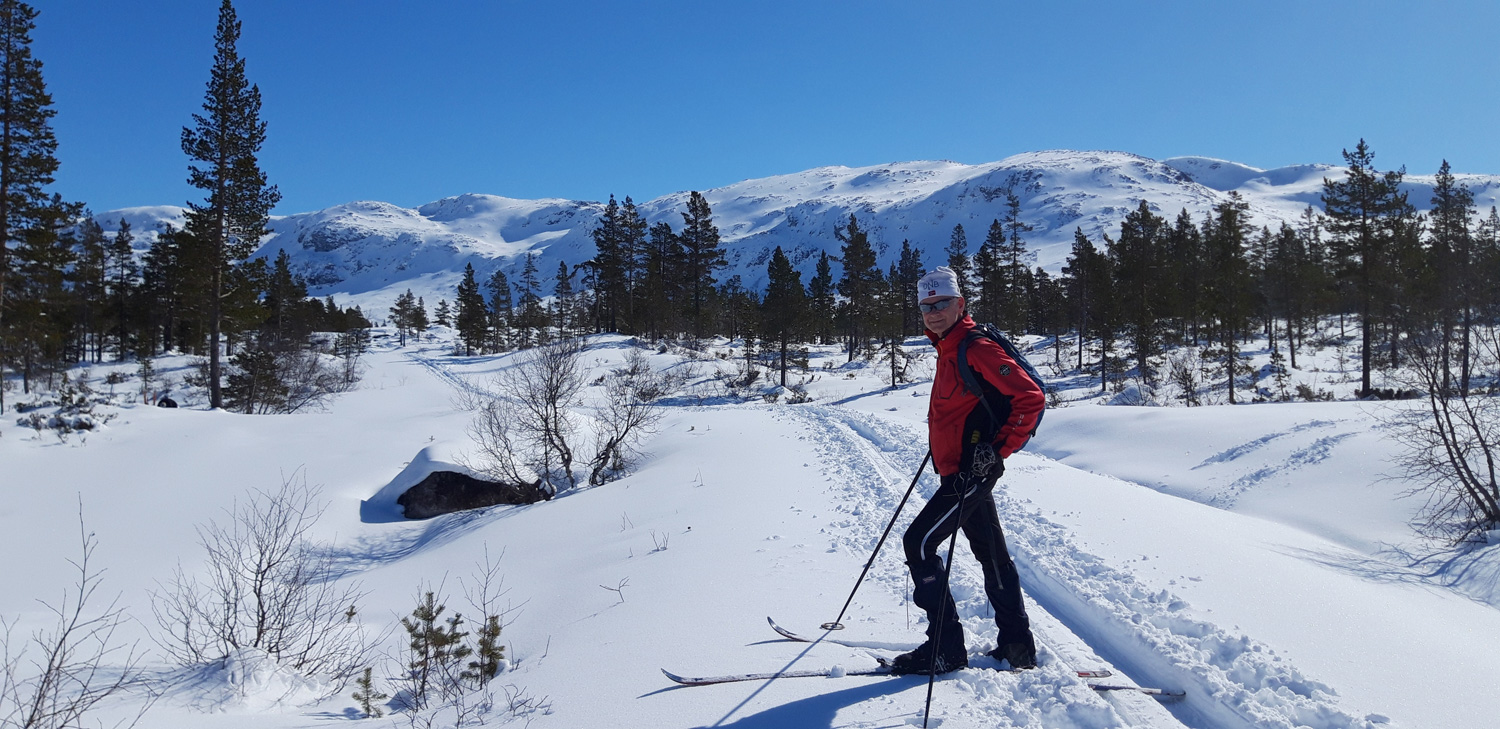 Enkel vandretur / skitur fra Brandset innover Bjørndalen
