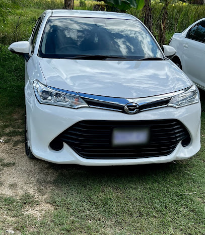 Shirley P Car Rental