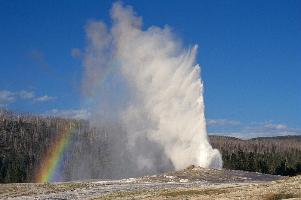 6 Day Yellowstone Adventure Retreat in WY, USA
