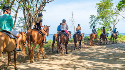 Island Rides Jamaica