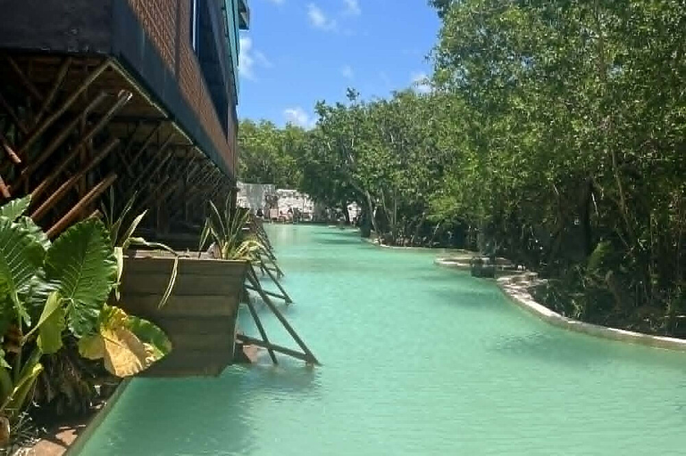 6 Day Rooted in Vision: Content Creation & Yoga Retreat in Mexico