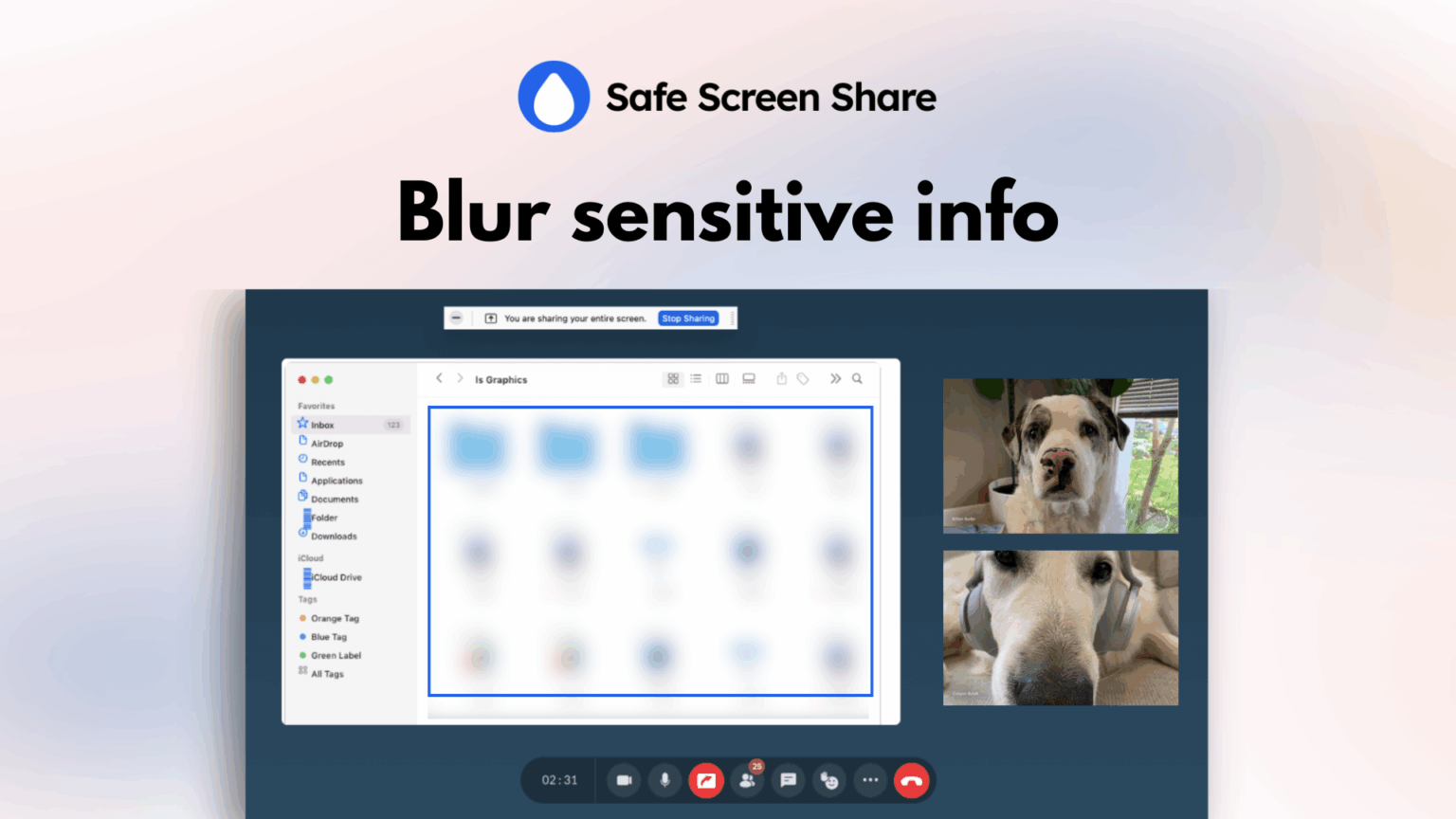 Safe Screen Share Lifetime Deal