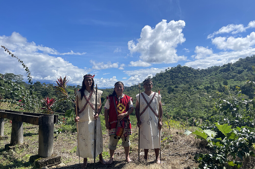 15-tägiges Heilretreat mit heiligen Pflanzen im Amazonas-Regenwald, Peru