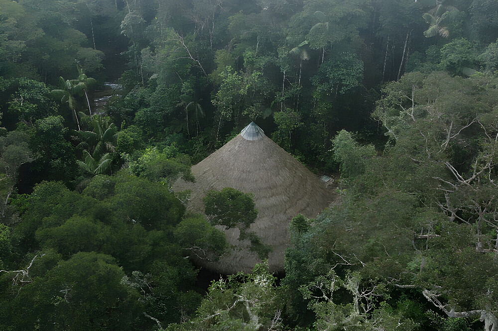 11-tägiges Ayahuasca- und Dieta-Retreat in Tarapoto, Peru