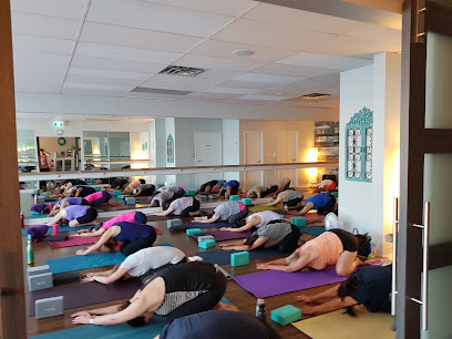 Sweet Serenity Yoga and Fitness