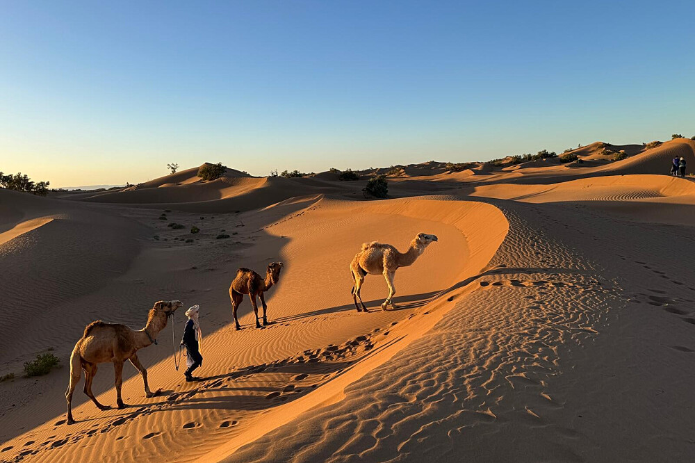 8 jours de yoga, méditation et marche : L'essence du désert, Maroc