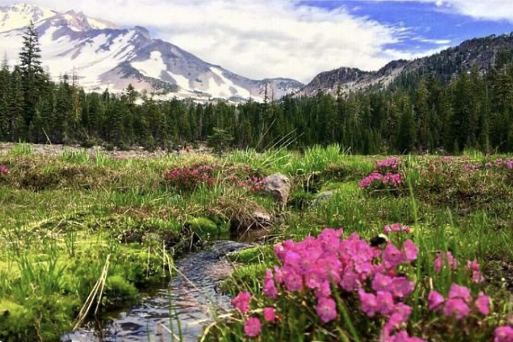 5 Day Radiant Essence: Private Women's Wellness Immersion, CA, US