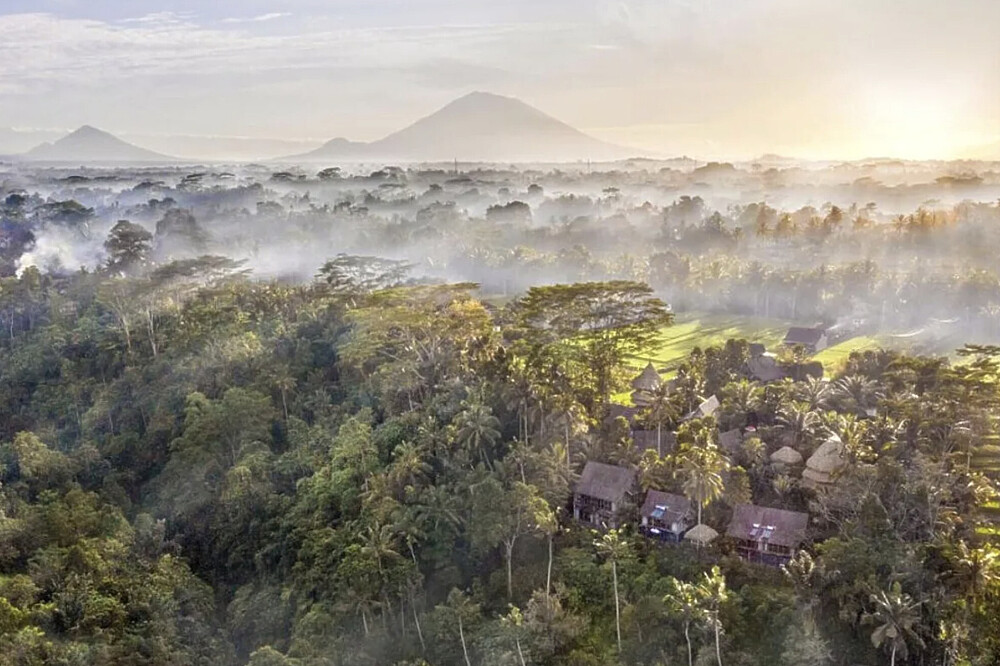 4-tägige Reinigungsreise in Ubud, Bali
