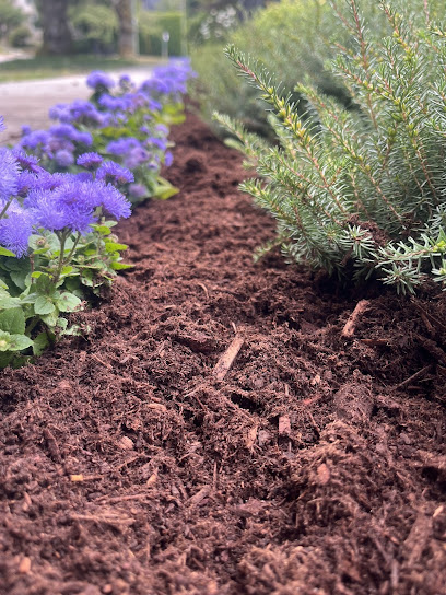 Blossom Landscaping